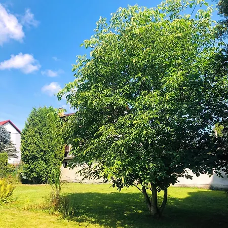 Apartmany Zelena Hora S Velkou Zahradou Zdar Nad Sazavou Exterior photo
